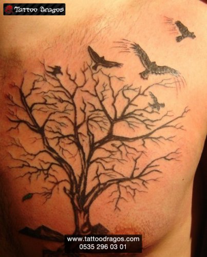 Ağaç Kuş Tattoo