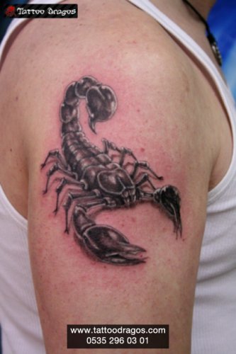 Akrep Tattoo