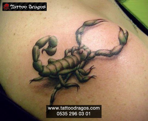 Akrep Tattoo