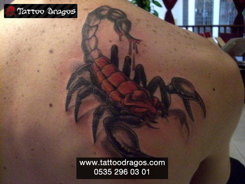 Akrep Tattoo