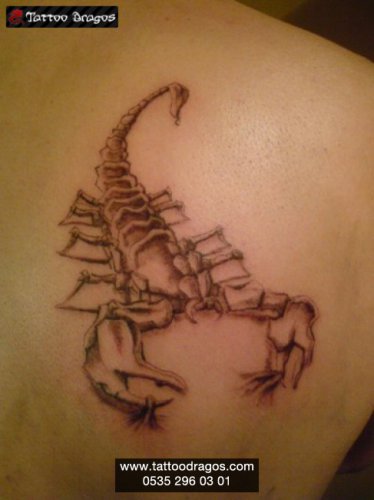 Akrep Tattoo