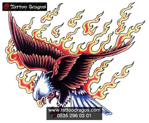 Alev Kartal