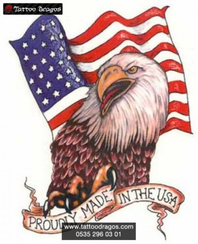 Amerikan Bayrak Kartal