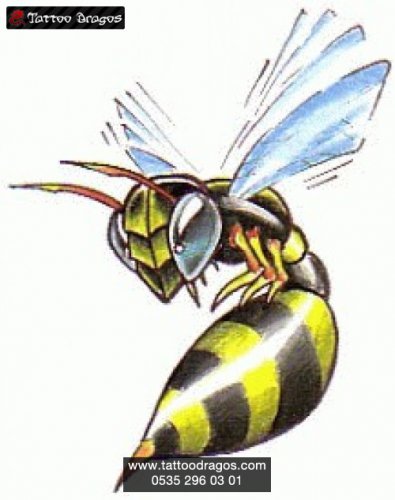 Arı
