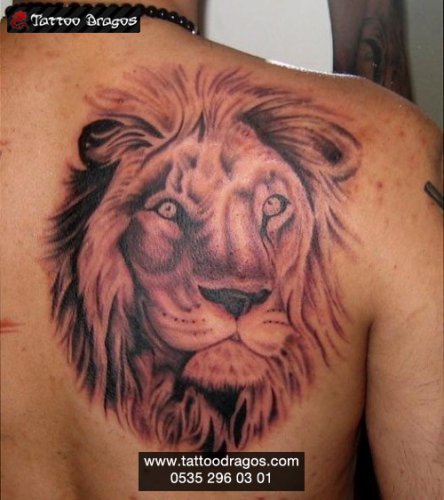 Aslan Tattoo