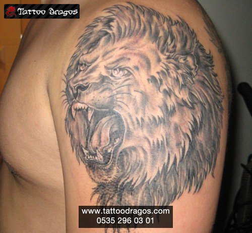 Aslan Tattoo