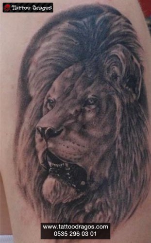 Aslan Tattoo