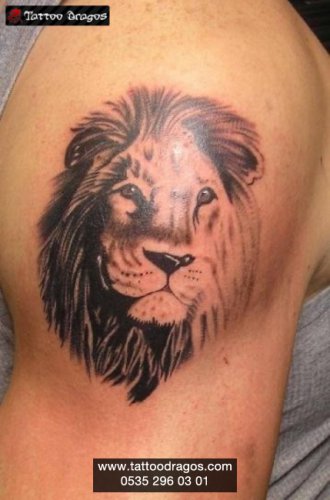 Aslan Tattoo