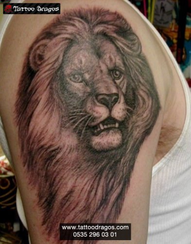 Aslan Tattoo