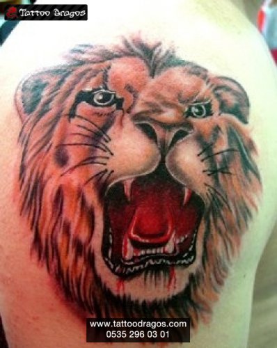 Aslan Tattoo