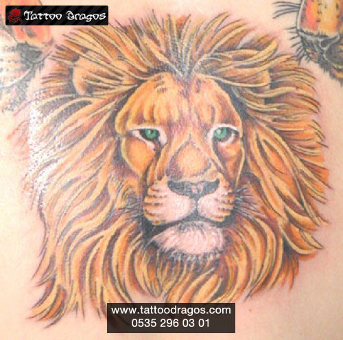 Aslan Tattoo