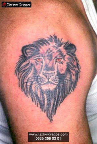 Aslan Tattoo