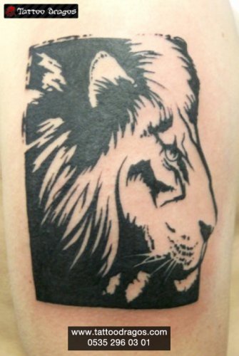 Aslan Tattoo