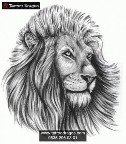 Aslan