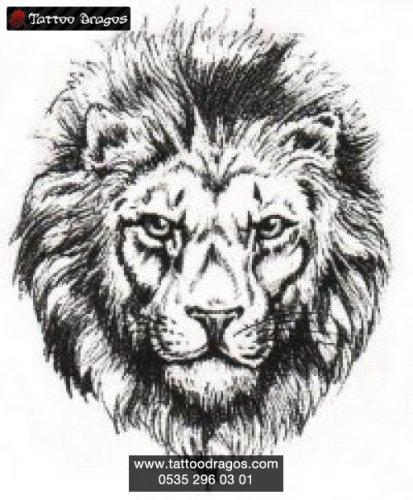 Aslan