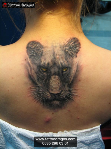 Aslan Tattoo