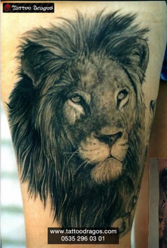 Aslan Tattoo