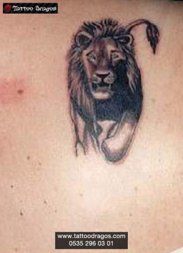 Aslan Tattoo