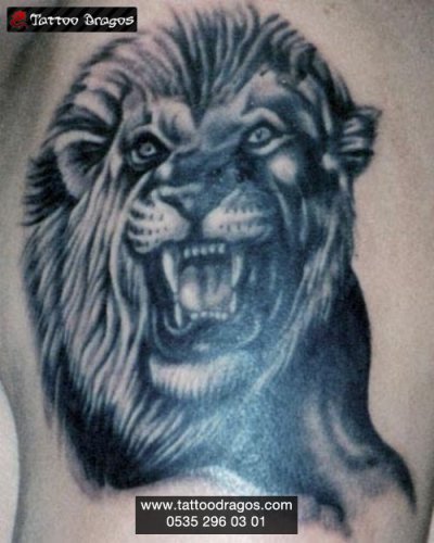 Aslan Tattoo