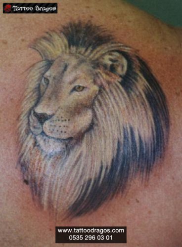 Aslan Tattoo