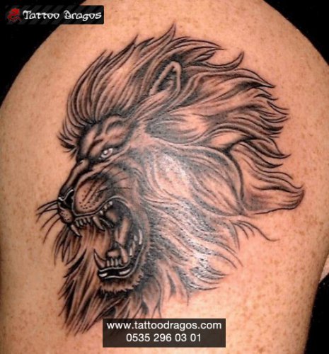 Aslan Tattoo