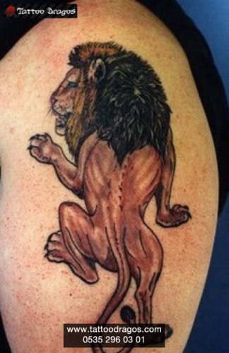 Aslan Tattoo