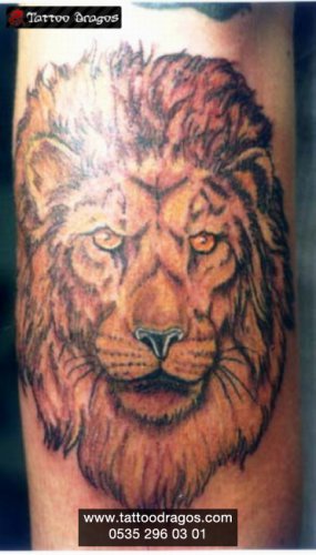 Aslan Tattoo