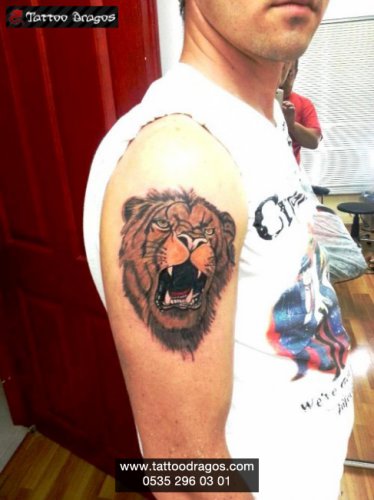 Aslan Tattoo