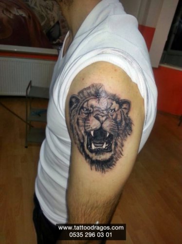 Aslan Tattoo