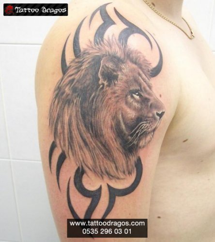 Aslan Tribal Tattoo