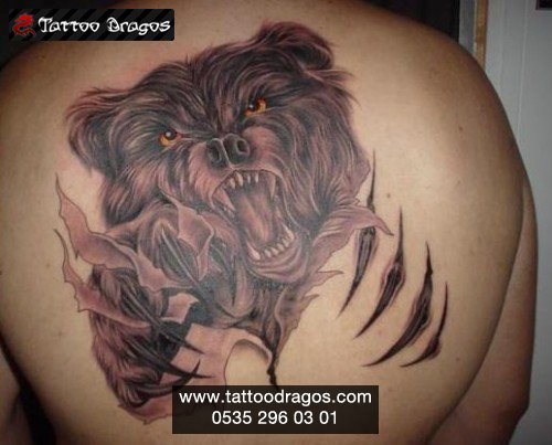 Ayı Tattoo