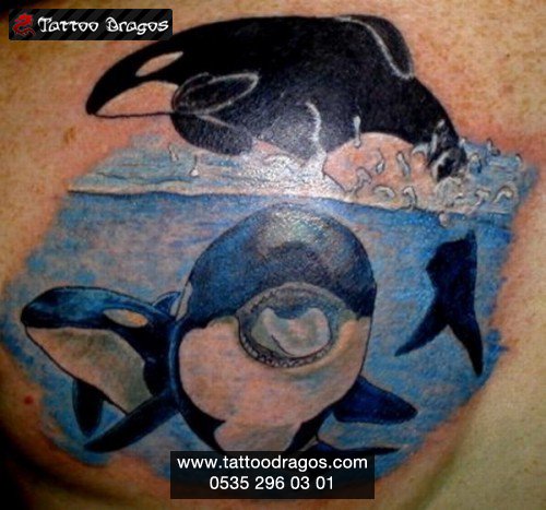 Balık Orka Balina Tattoo