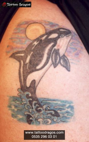 Balık Orka Balina Tattoo
