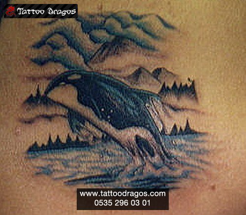 Balık Orka Balina Tattoo