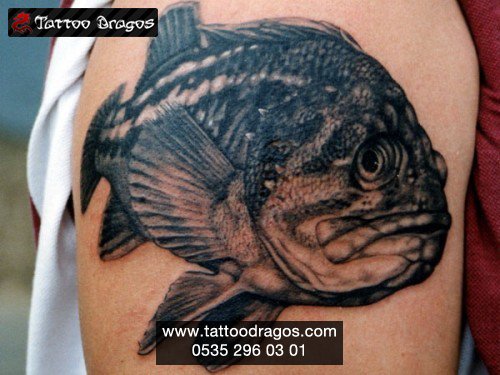 Balık Pirhana Tattoo