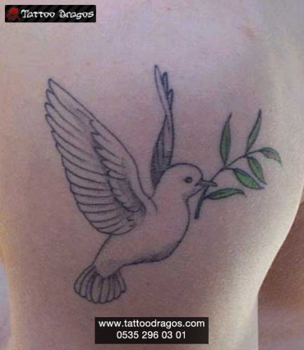 Barış Güvercini Tattoo