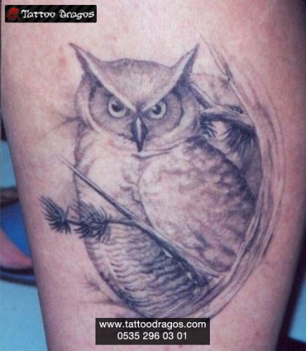 Baykuş Kuş Tattoo