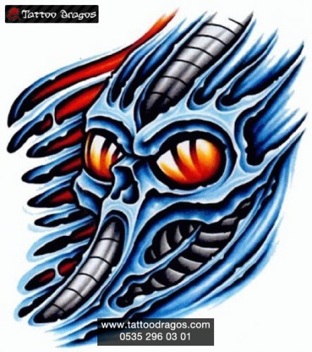 Biomekanik Skull Kurukafa