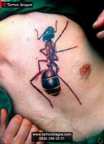Böcek Karınca Tattoo