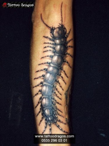 Böcek Kırkayak Tattoo