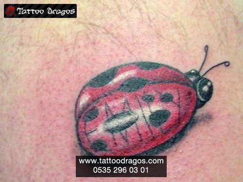 Böcek Uğurböceği Tattoo