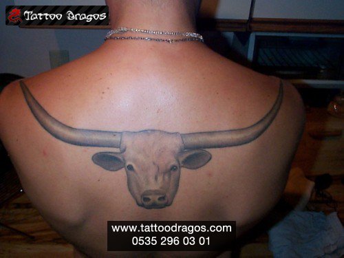 Boğa Burç Tattoo