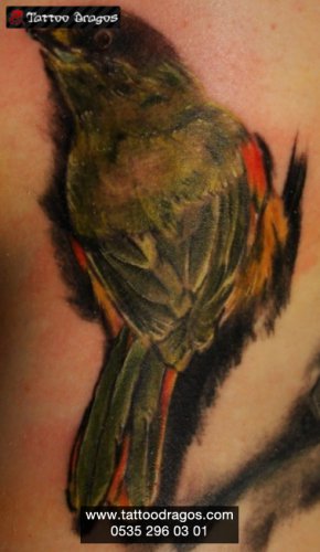 Bülbül Kuş Tattoo