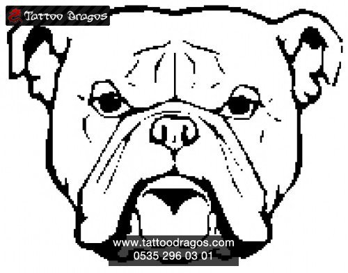 Buldog Kafası