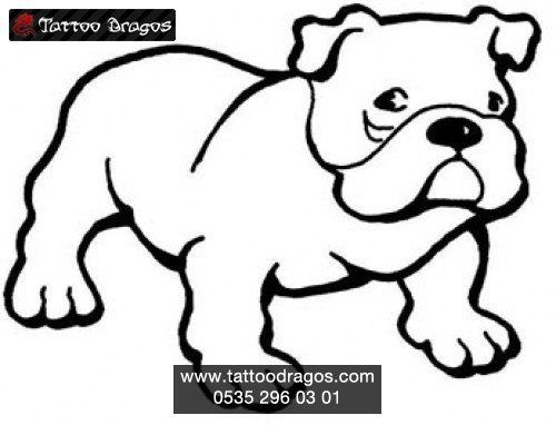 Buldog Köpek
