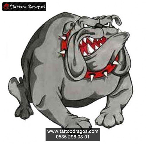 Buldog Köpek