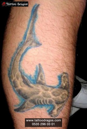 Çekiç Köpekbalığı Tattoo