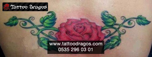 Çiçek Gül Tattoo