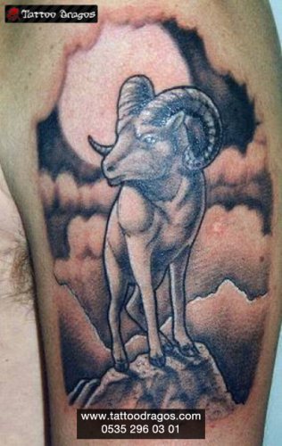 Dağ Keçisi Tattoo