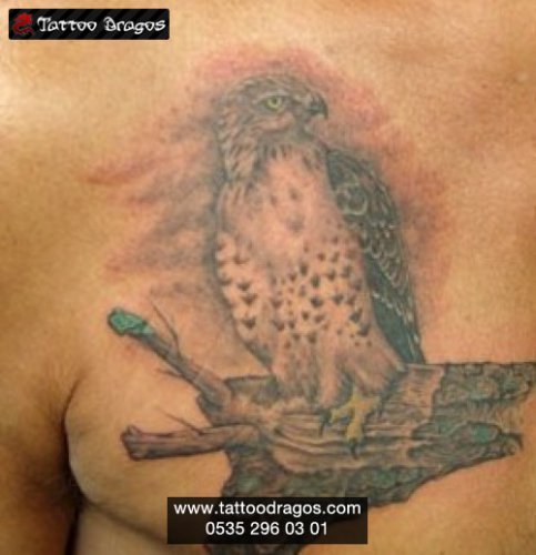 Doğan Yırtıcı Kuş Tattoo